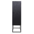 Laxon Black 2 Door Cabinet
